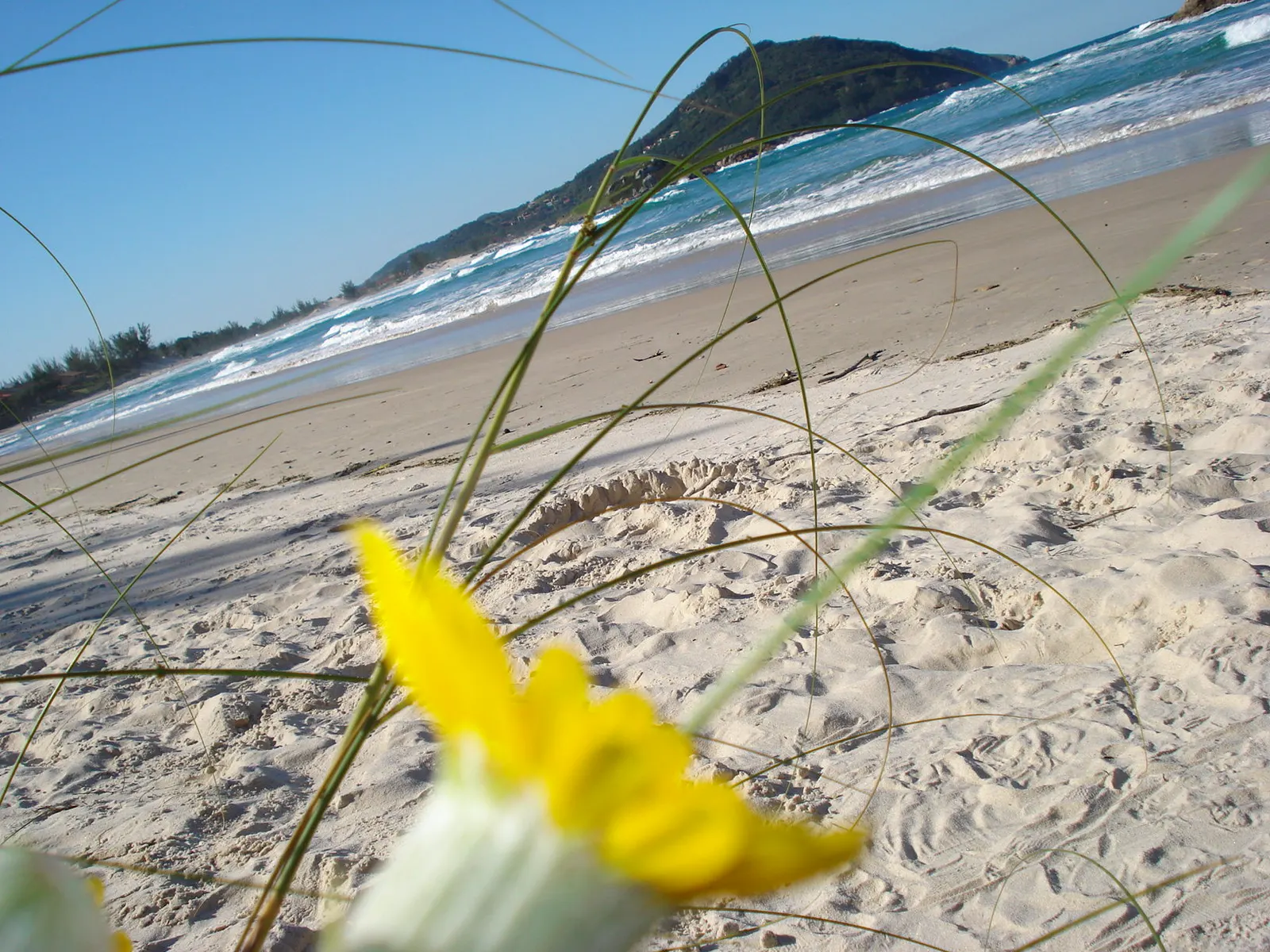 Praia da Barra, em Garopaba, onde a lagoa encontra o mar